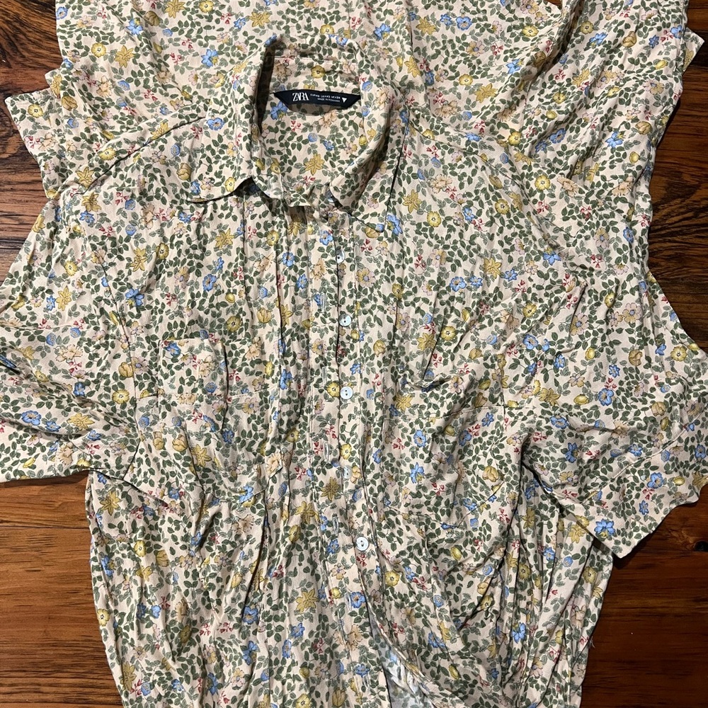 Zara dress